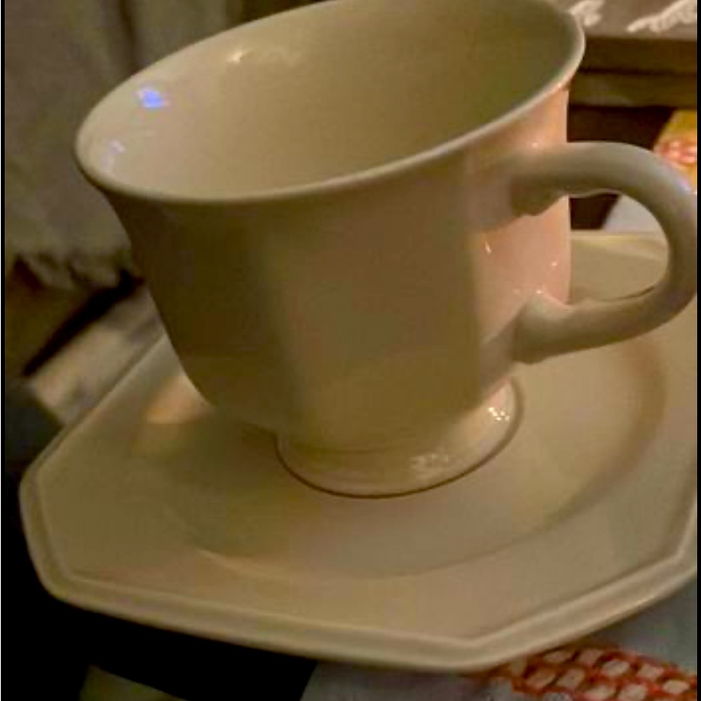 Mikasa F 4000 Tea Cup and Saucer
